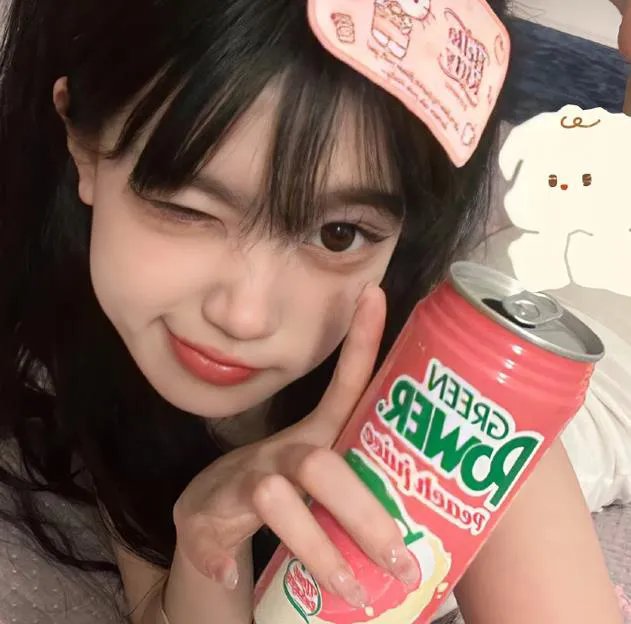 顽皮豹之怀念探长